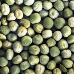 Pois vert BIO