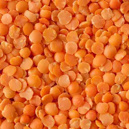 Lentille corail BIO
