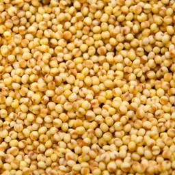 Millet BIO