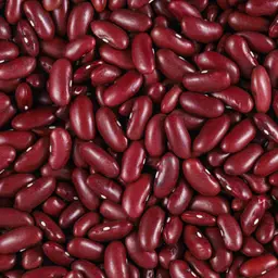 Haricot rouge BIO