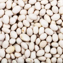 Haricot blanc BIO