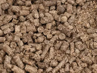 Pulpe de betterave surpressée