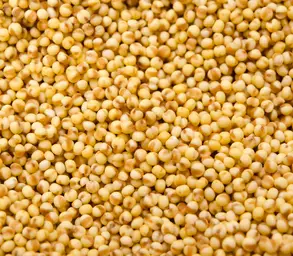 Millet