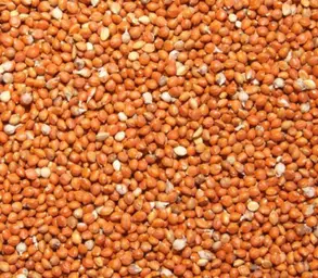 Millet Roux