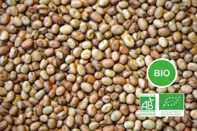Féverole Bio