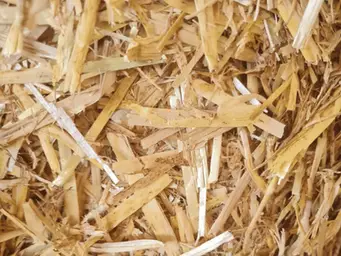Paille broyée de colza défibrée