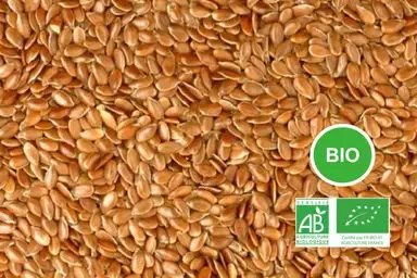 Lin oléique Bio