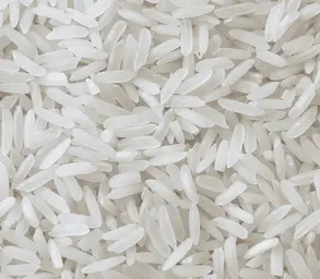 Riz