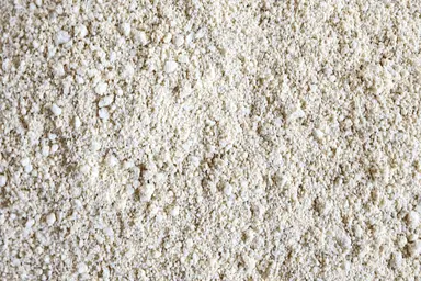 Carbonate - Vrac Humide