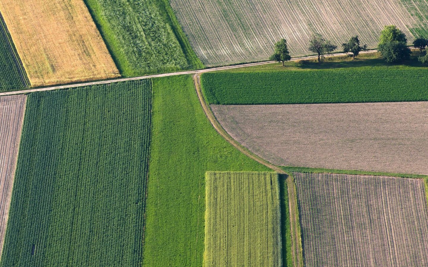 L'agriculture connectée aux marchés