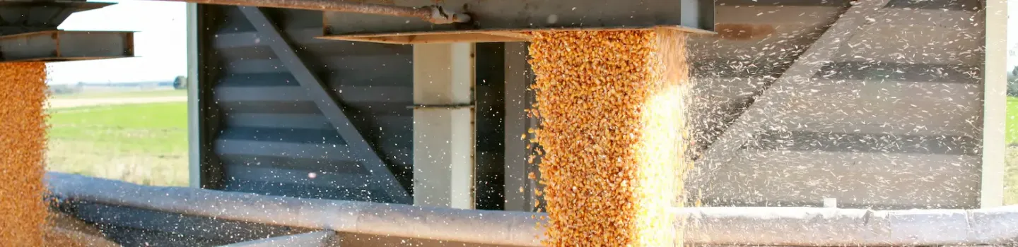 Chargement de céréale