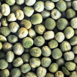 Pois vert BIO