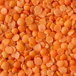Lentille corail BIO