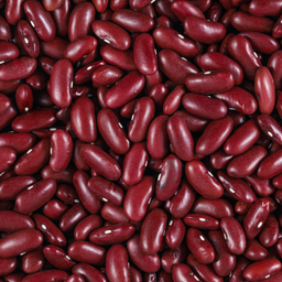 Haricot rouge BIO