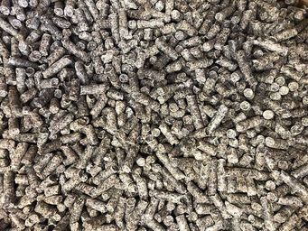 Pulpes de betteraves déshydratée