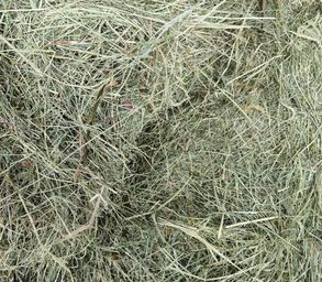 Foin de prairies BIO
