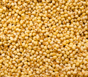Millet Blanc