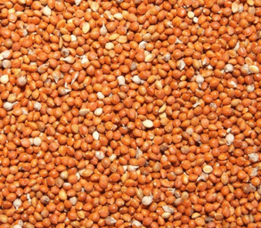 Millet Roux