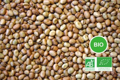 Féverole Bio